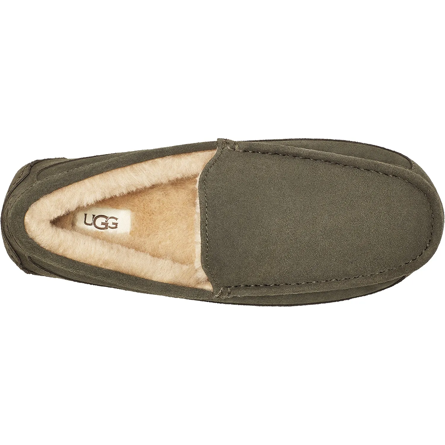 Men's UGG Ascot Forest Night Suede