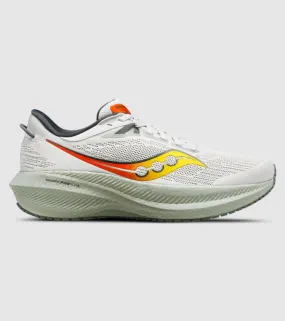 saucony triumph 21 mens