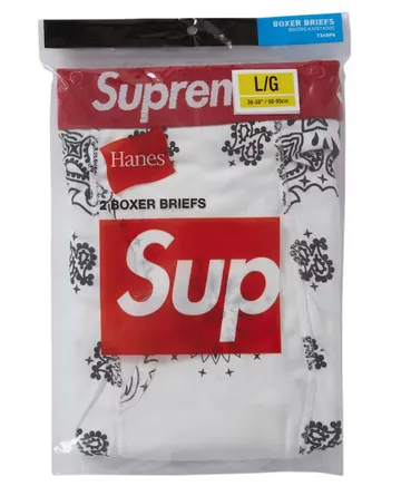 Supreme Hanes Bandana Boxer Briefs (2 Pack) White