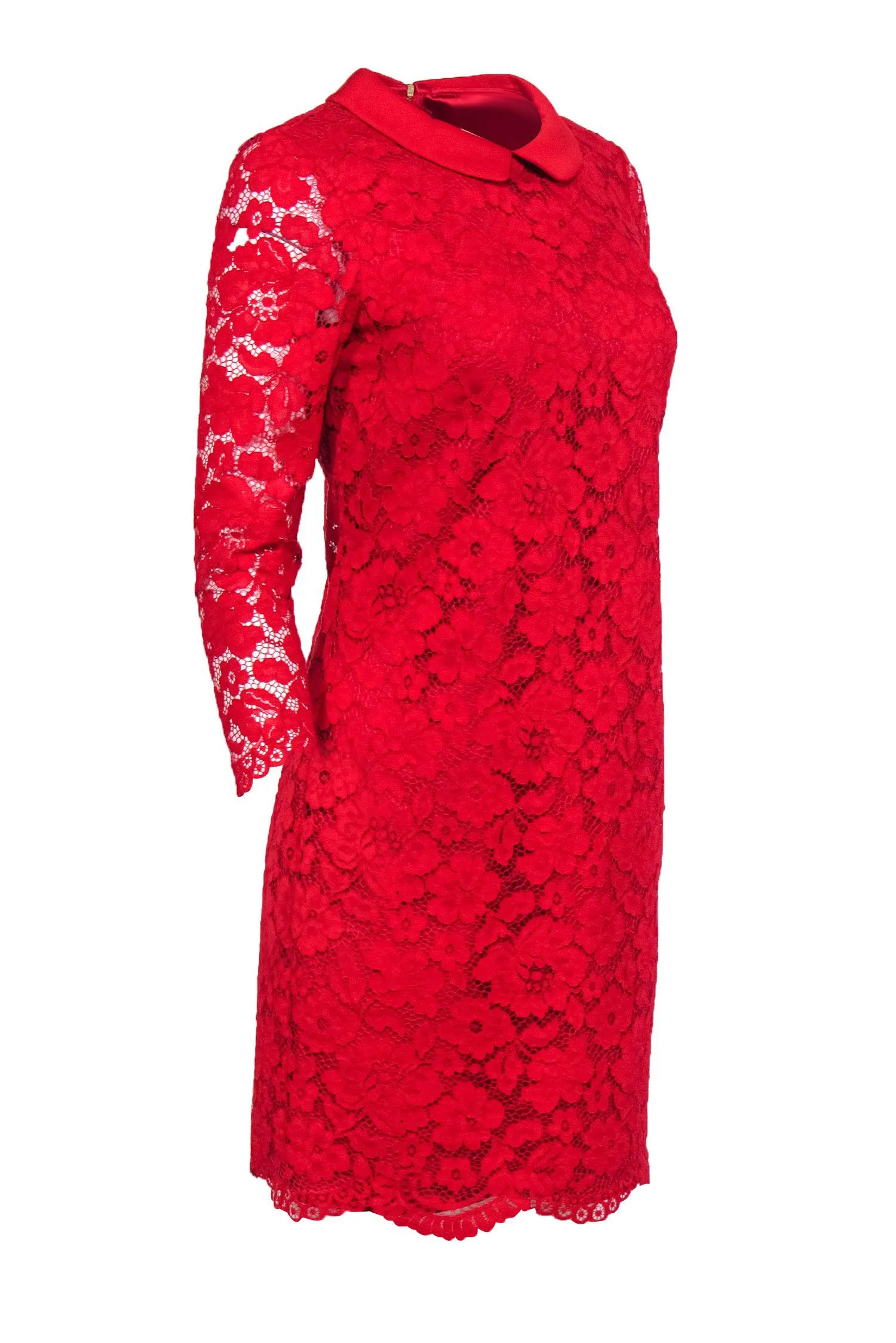 Ted Baker - Red Lace Shift Dress w/ Peter Pan Collar Sz 6