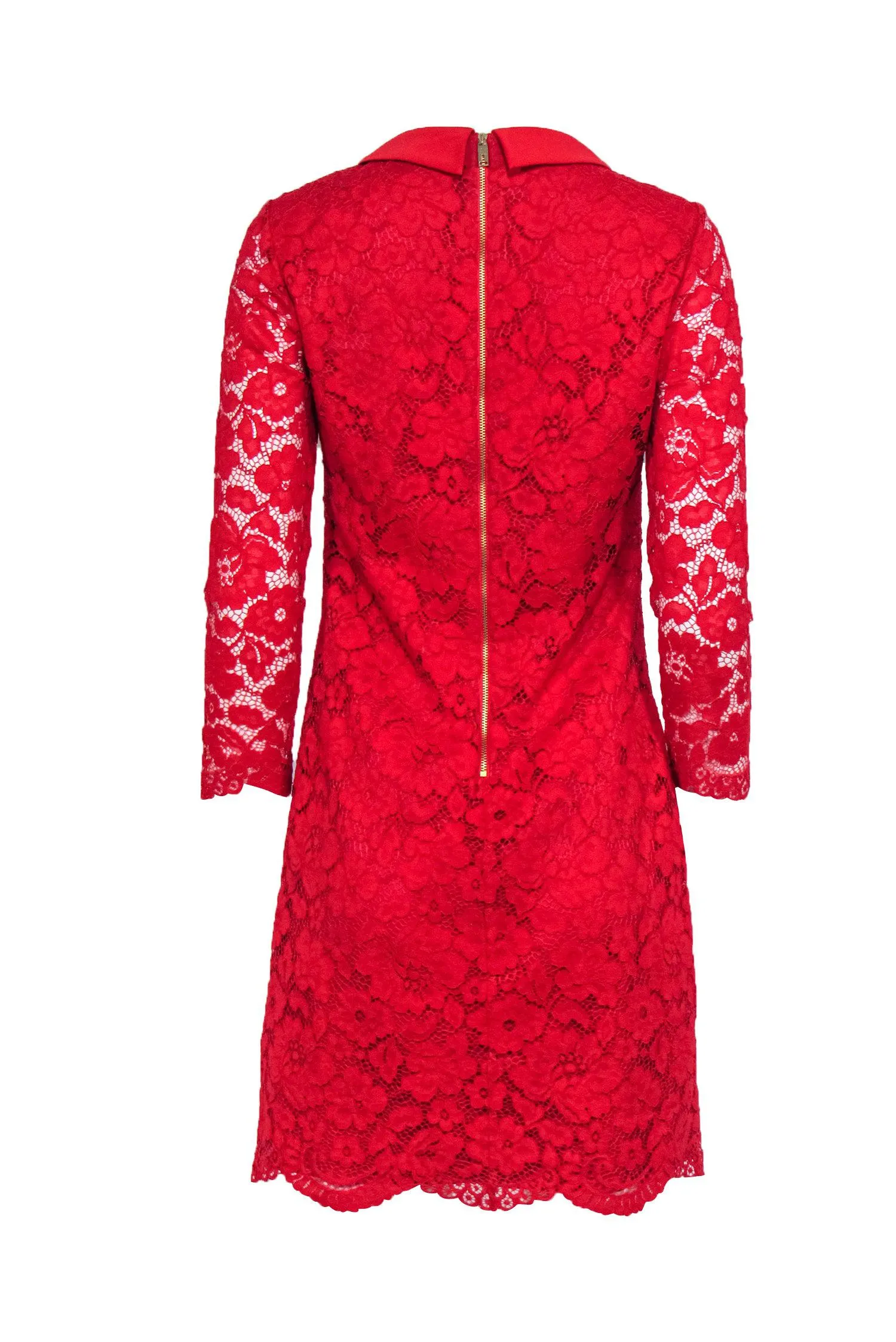 Ted Baker - Red Lace Shift Dress w/ Peter Pan Collar Sz 6